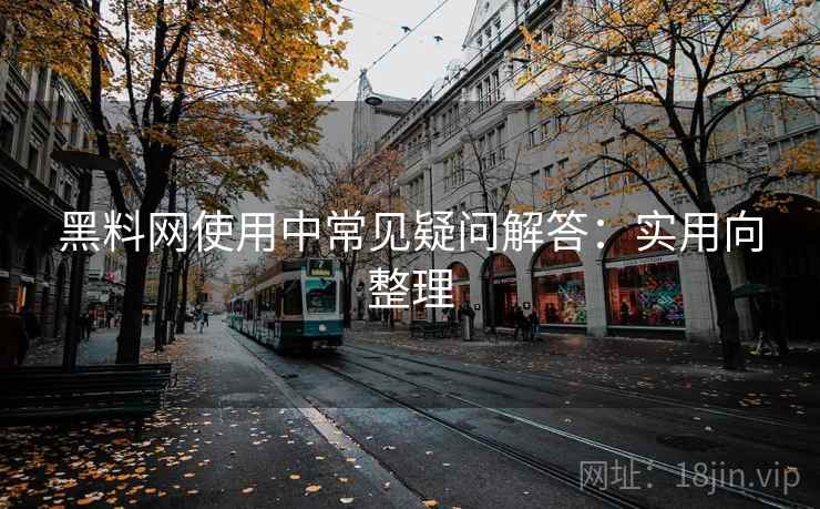 黑料网使用中常见疑问解答：实用向整理